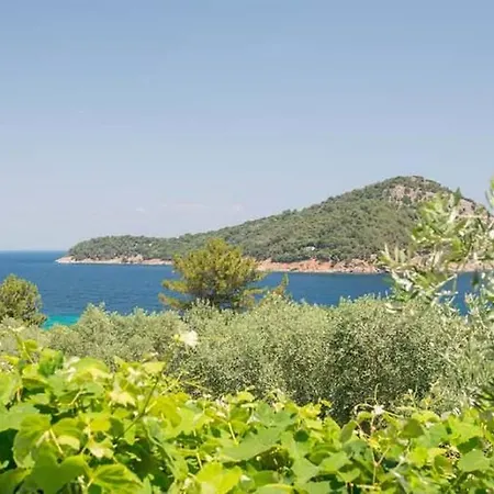 Endless Blue Koinira